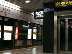 -杨高南路(地铁站)