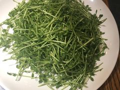 -渝味晓宇火锅(合川路店)