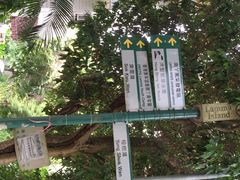 南丫岛-南丫岛