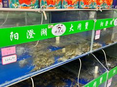 -阳澄湖大闸蟹·琼灵阁牌品牌连锁(吴中总店)