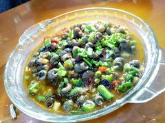 -全乐鱼馆·淳牌有机鱼直营店