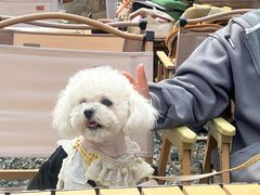 -陶野咖啡·面包披萨