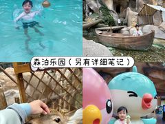 -杭州开元森泊度假乐园