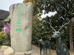 -溱湖国家湿地公园