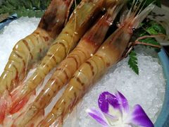 -蟹将军·松叶蟹和牛日料放题自助(K11店)