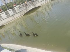 -长春世界雕塑园冰雪艺术天地