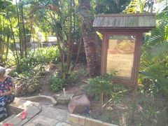 -三亚珠江南田温泉度假区