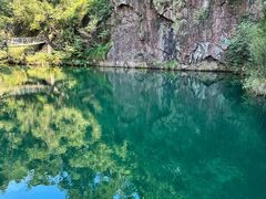 -大奇山国家森林公园