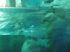 -泉城欧乐堡海洋极地世界