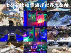 -石林冰雪海洋世界