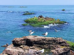 -海驴岛(荣成市)