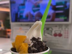 -Salud撒露欧洲冻酸奶(五道口购物中心店)