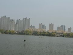 -徐州博顿温德姆酒店(高铁东站店)