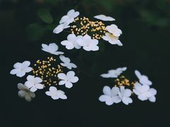 -江南大学(蠡湖校区)
