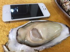 -蚝专家(北滘店)
