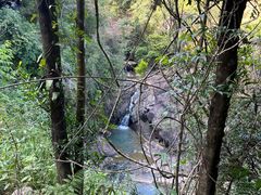 -广州白江湖森林公园