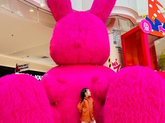 -北京华联生活超市(北京常营店)