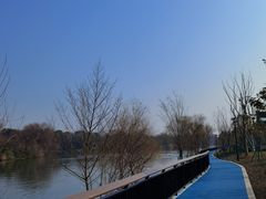 -西溪国家湿地公园