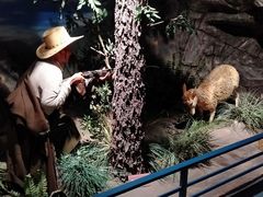 -陕西自然博物馆