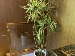 -正清和·推拿养生(二七广场店)