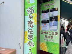 -猫的魔法密林(衣裳街店)