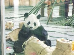 -泉州海丝野生动物世界