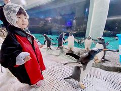 -成都浩海立方海洋公园