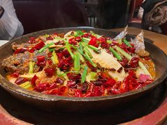 -老板恋上鱼(高新万达店)