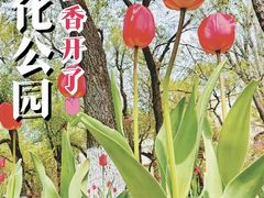 -哈尔滨文化公园