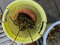 -小海豚•老字号海鲜餐厅(天涯店)