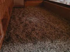 -济州岛汗蒸时代宝石生态热水浴