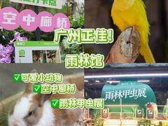 -正佳雨林生态植物园