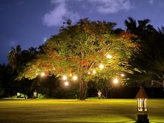 -日落吧·海景咖啡厅·餐酒吧·鸡尾酒·下午茶·乐队表演·浪漫夕阳·三亚文华东方酒店