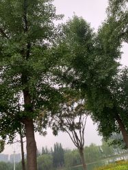 -HEYAN长风荷妍专业脱毛美肤
