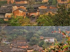 -杨家堂村