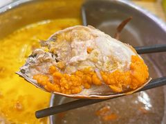 -杨老板·海鲜集市火锅·鲜切牛肉(中防万宝店)