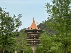 -顺峰山公园