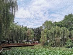 -三圣花乡旅游区