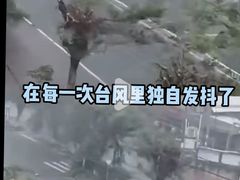 -海南热带野生动植物园