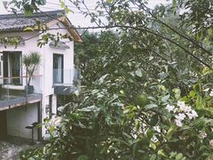 -云里小坐·小院里·团建·宴请·下午茶(三圣乡店)