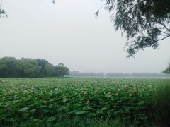 -颐和园-景明楼