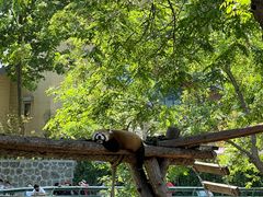 -石家庄市动物园