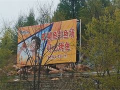 -可心烤鱼