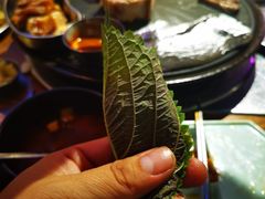 -济州爱肉堂(总店)