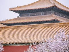 -故宫博物院(故宫)