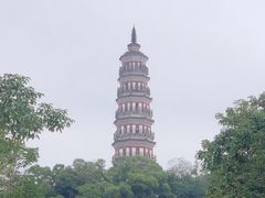-顺峰山公园