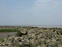 -南汇嘴观海公园