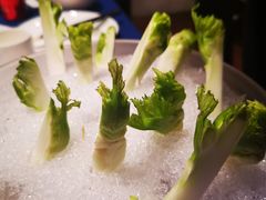 儿菜-宽坐·友谊宾馆店