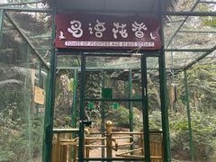 -呀诺达热带雨林