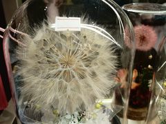 -Olé精品超市(上海虹桥南丰城店)